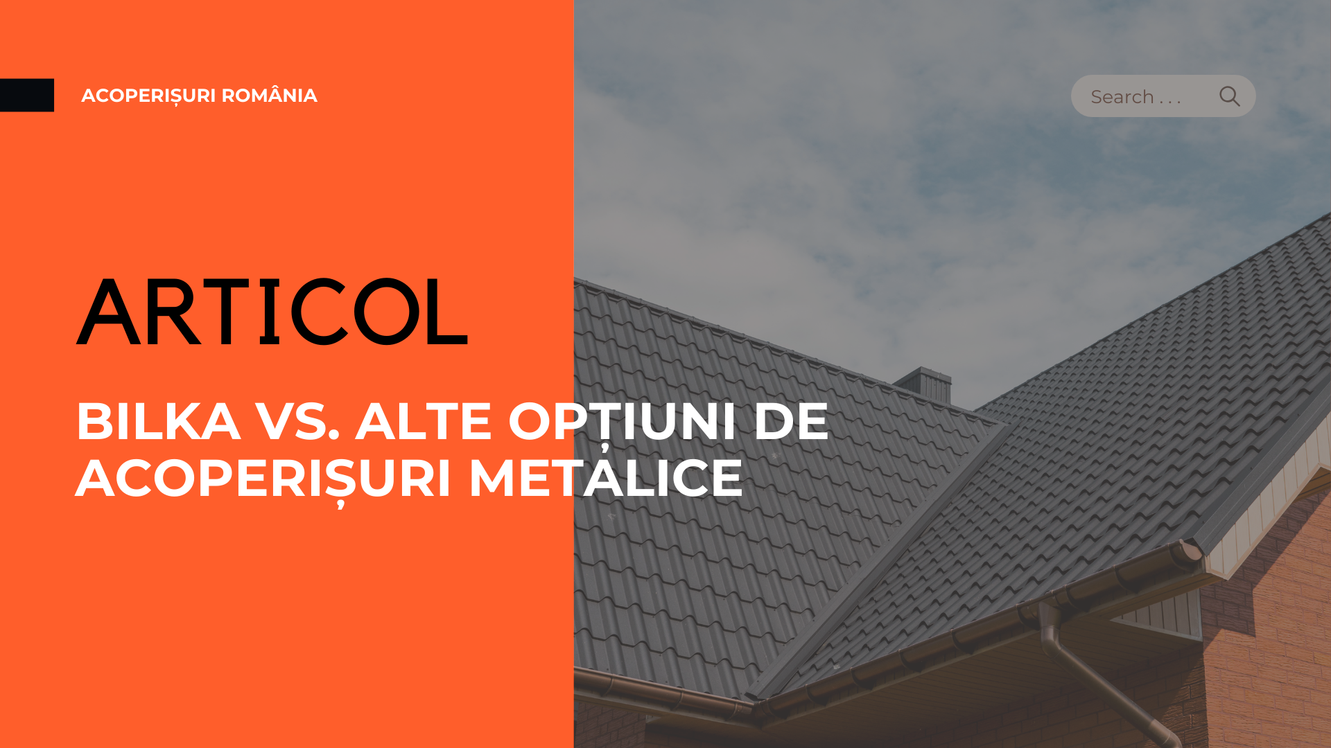 Acoperișuri ROMÂNIA (2)
