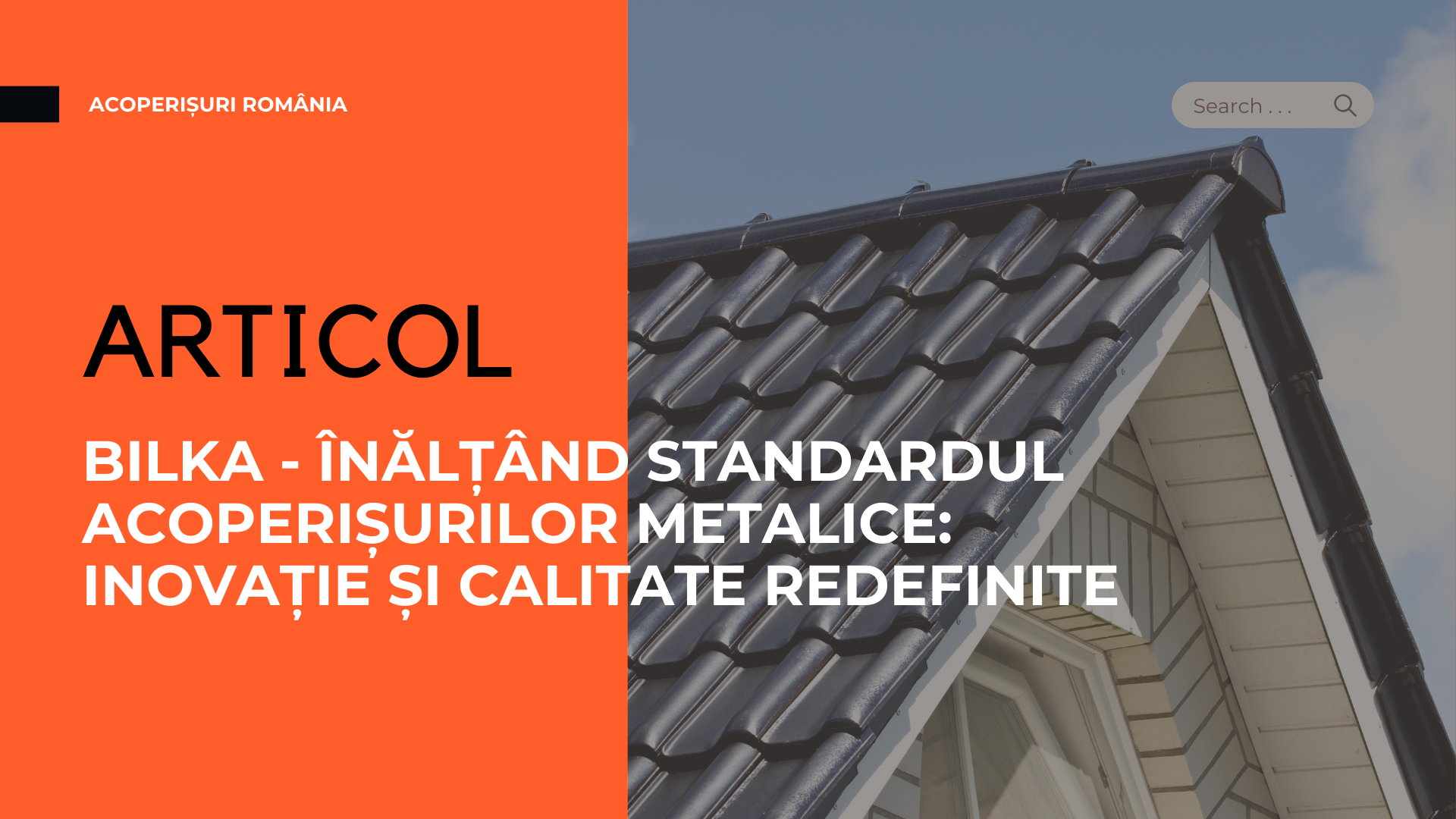 Acoperișuri ROMÂNIA (3)