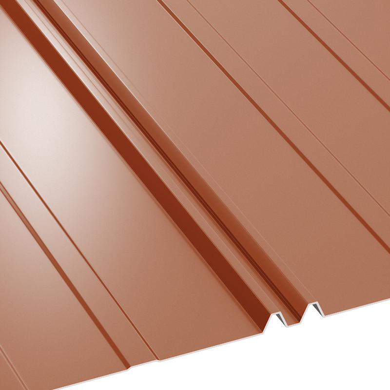 Retroduo lucios ral8004